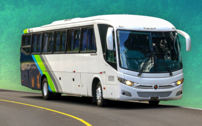BUSES ALEGRES LLEVARÁN A TURISTAS AL FESTIVAL DEL CAFÉ EN CHALATENANGO